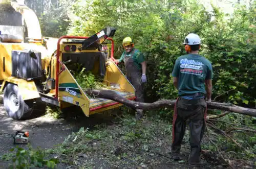 tree services Pine Bluff